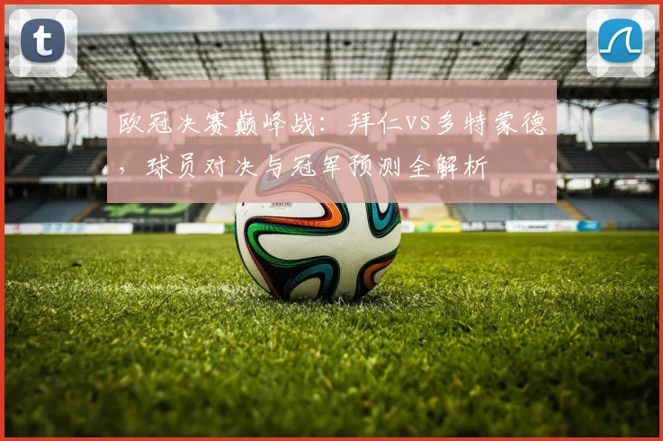 欧冠决赛巅峰战：拜仁vs多特蒙德，球员对决与冠军预测全解析