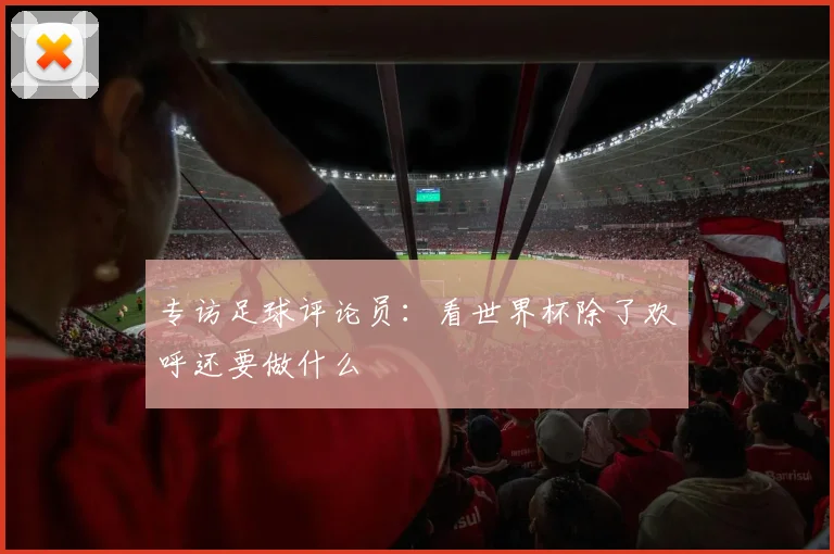 专访足球评论员：看世界杯除了欢呼还要做什么