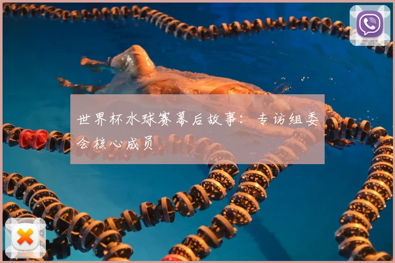 世界杯水球赛幕后故事：专访组委会核心成员
