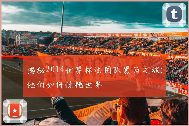 揭秘2014世界杯法国队黑马之旅：他们如何惊艳世界