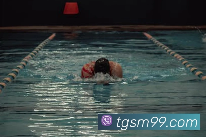 九游j9官方入口服务体系