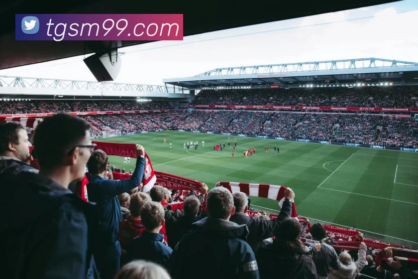 九游j9官方入口APP 体育赛事宣传图